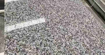九江 芙蓉白光面