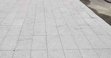 九江芝麻白地铺案例