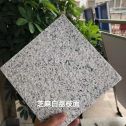 九江 芝麻白荔枝面干挂
