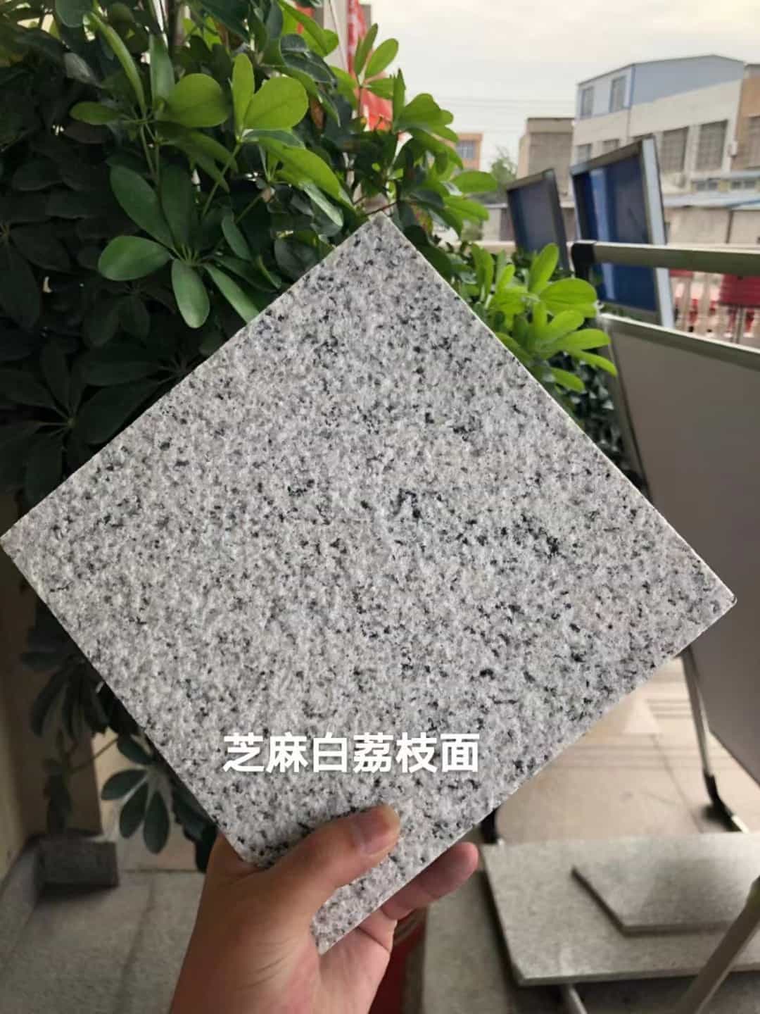 九江 芝麻白荔枝面干挂