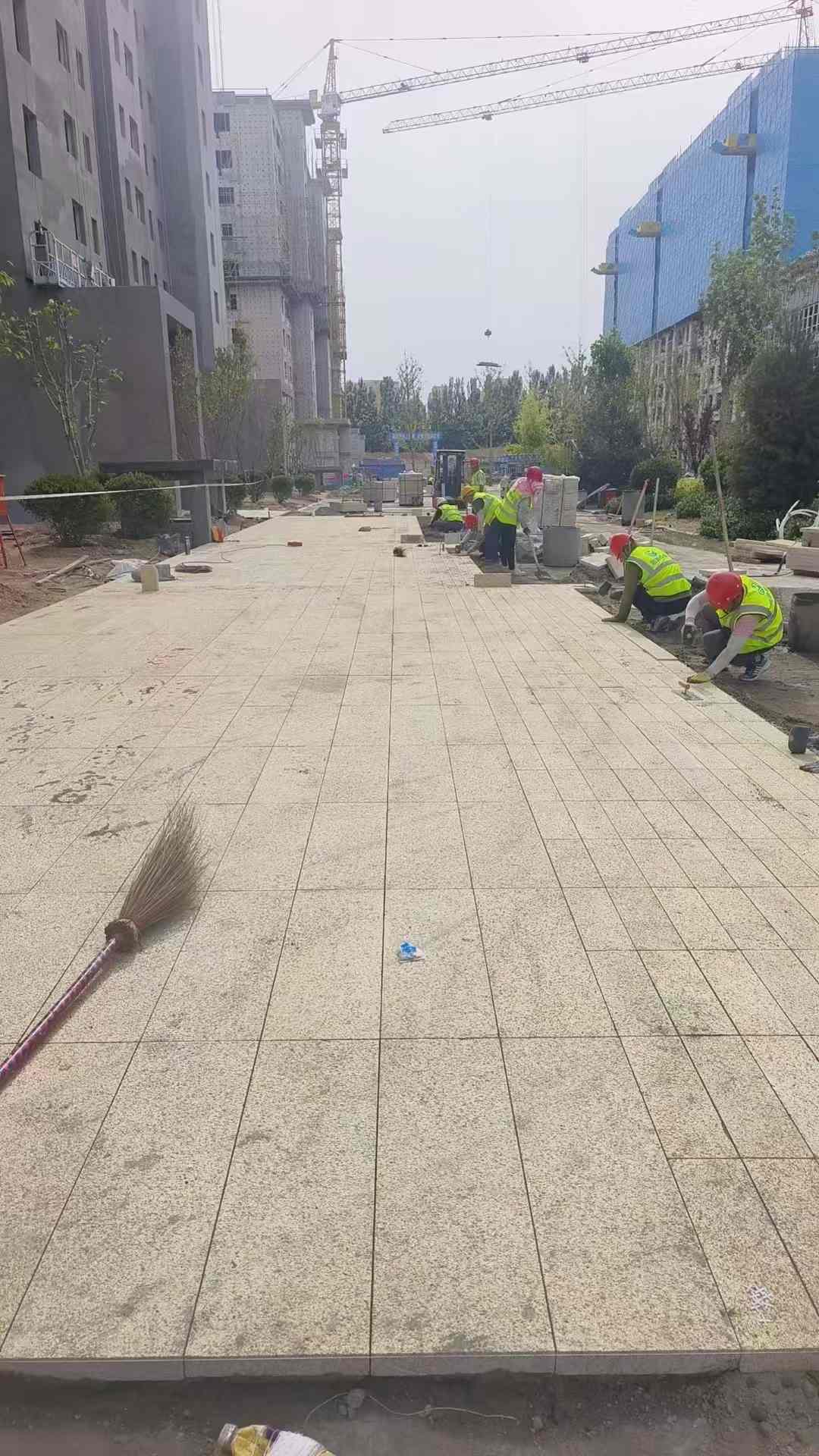 九江黄金麻荔枝面地铺案例